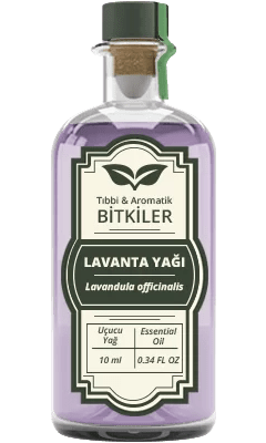 <b>Lavanta</b> Yağı