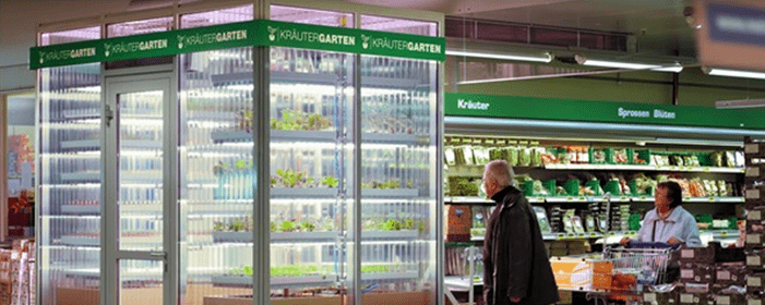 Almanya’da Süpermarketlere Seralar Kuruldu