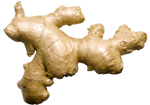 Zencefil