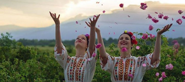 Isparta Gülü <b>8000 Ton Bekliyor</b>