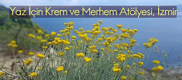 <b>Nazım Tanrıkulu</b> ile Güneş Kremi ve Merhem <b>Atölyesi</b>
