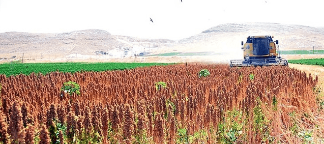 GAP’ta Ürün Yelpazesi Genişliyor