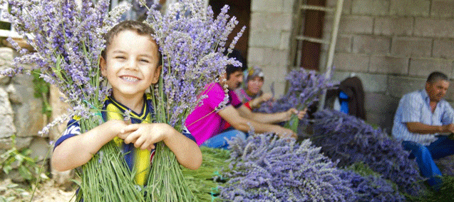 Isparta “Lavanta Diyarı”