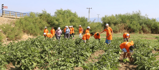 Eğlenerek Üretiyorum Yaz Kampı Çapaya Başladı