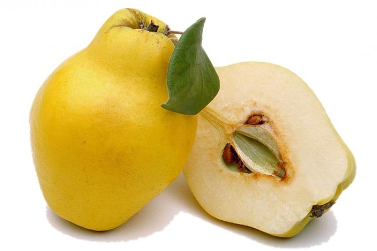 Şekersiz Ayva Kompostosu