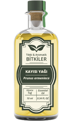 <b>Kayısı</b> Yağı