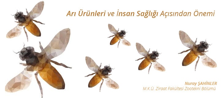 Arı Ürünleri ve <b>İnsan Sağlığı</b> Açısından Önemi
