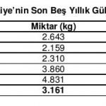 Üretim Arttırılması Çizelge 8