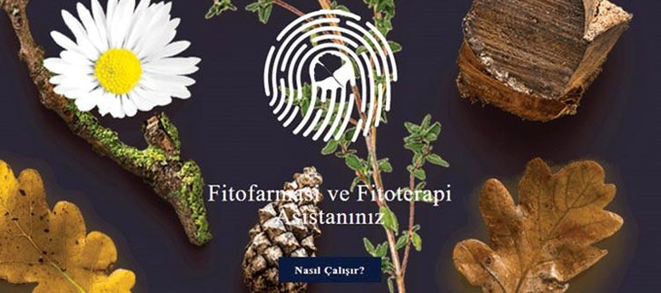 <b>Tıbbi bitkiler</b> bir arama motorunda sınıflandırıldı