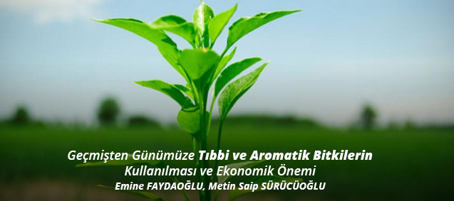 Geçmişten Günümüze <b>Tıbbi ve Aromatik Bitkiler</b>in Kullanılması ve Ekonomik Önemi