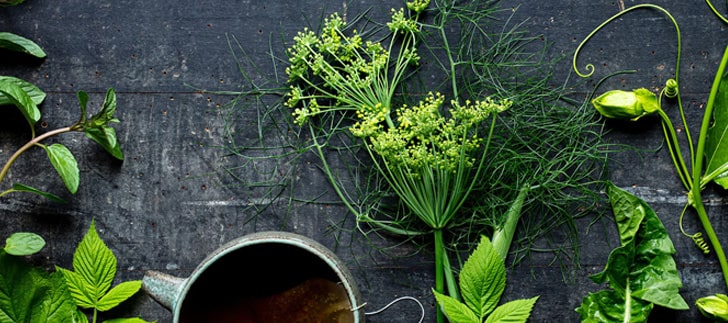 Tıbbi ve Aromatik Bitkilerde Kalite ve Standardizasyon
