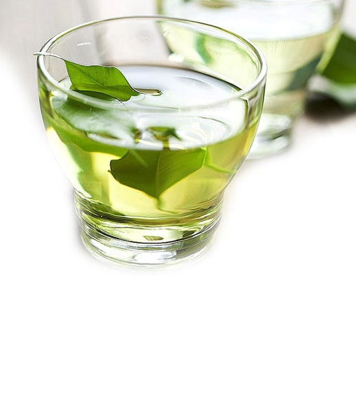 <b>Avokado Yaprağı Çayı</b> Faydaları ve Hazırlanışı