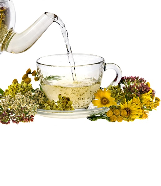 <b>Civanperçemi Çayı</b> Faydaları ve Hazırlanışı