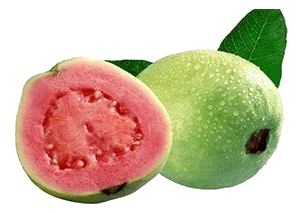 Guava Yaprağı