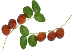 Hünnap