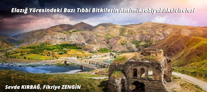 <b>Elazığ Yöresindeki</b> Bazı Tıbbi Bitkilerin Antimikrobiyal Aktiviteleri