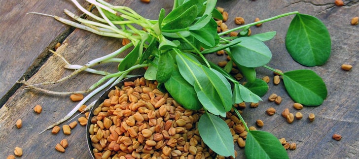 <b>Çemen Otu ve Tohumu</b> Diyabete nasıl yardımcı olur? 6 Gerçek!