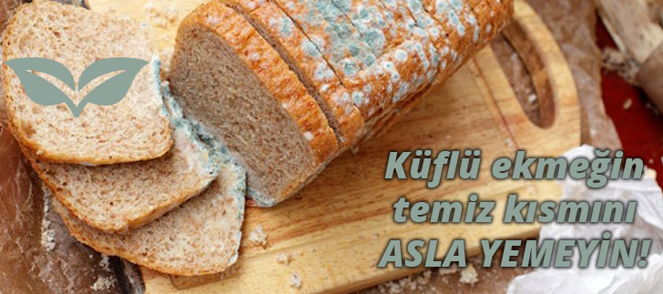 <b>Küflü ekmeğin</b> temiz kısmını asla yemeyin!