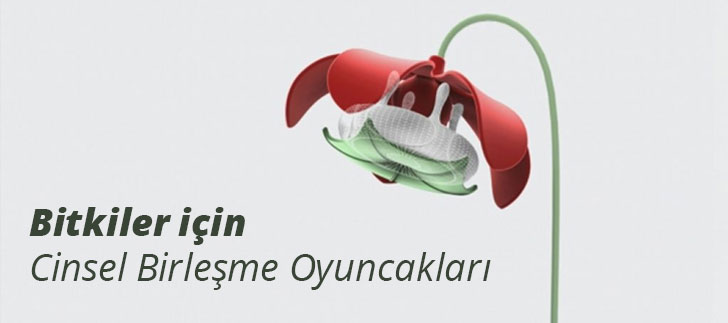 <b>Bitkilerin Cinsel Birleşme</b> Oyuncakları