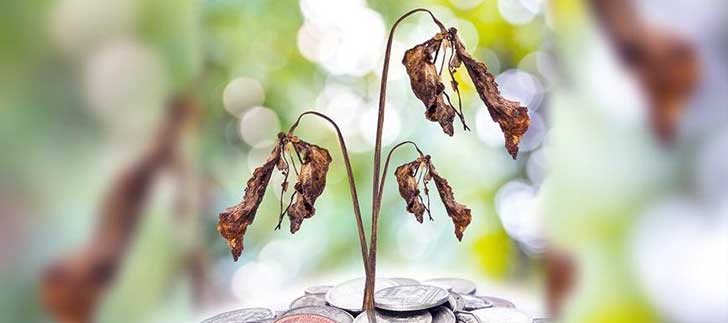 Bitki türleri beklenenden <b>500 kat daha hızlı tükeniyor</b>