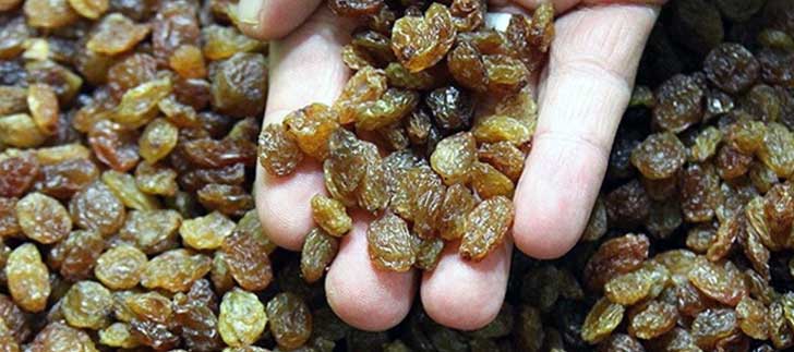Kilo Aldırmayan <b>Sağlıklı Atıştırmalıklar</b>