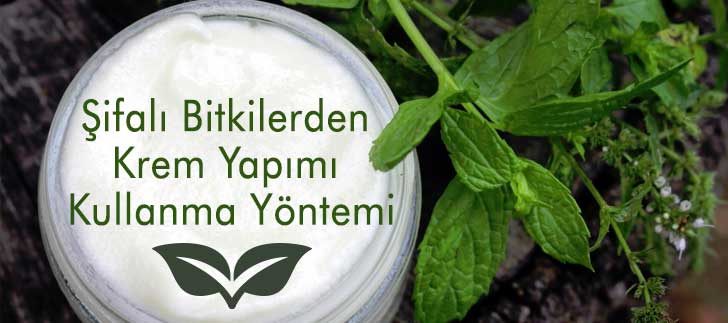 <b>Şifalı Bitkilerden Krem Yapımı</b> ve Kullanma Yöntemi