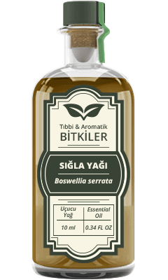 <b>Sığla </b> Yağı (Akgünlük Yağı)