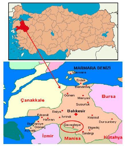 Doğal Boya Bitkileri Savaştepe