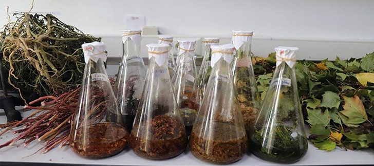 Iğdır Üniversitesinden <b>Tıbbi ve Aromatik Bitki Ürünleri</b>