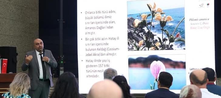 Doğu Akdeniz Bölgesi’nin Tıbbi ve Aromatik Bitki Potansiyeli