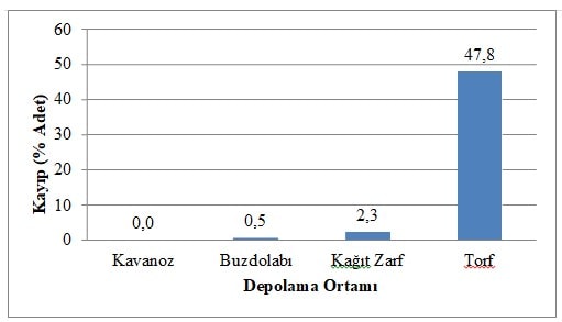Farklı Ortamlarda Saklanan Salep Yumrularında Meydana Gelen Depolama Kayıpları (% Adet)