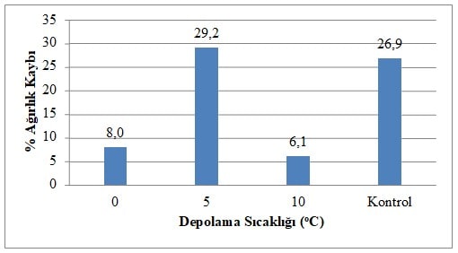 Farklı Sıcaklıklarda Depolanan Salep Yumrularında % Ağırlık Kayıpları