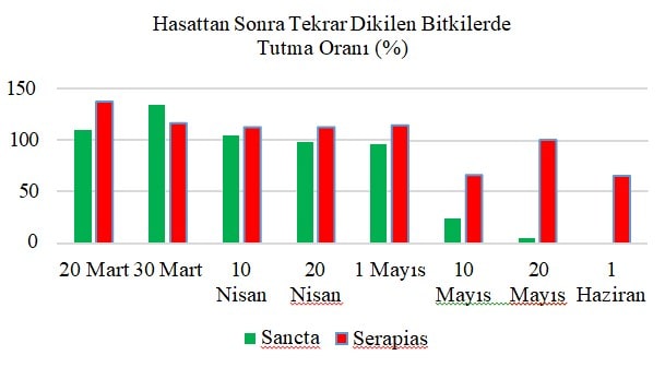 Hasattan Sonra Dikilen Bitkilerde Tutma Oranı