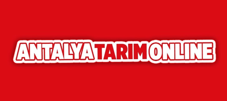 Tıbbi ve Aromatik Bitkiler Akademisi online eğitimleri başlıyor