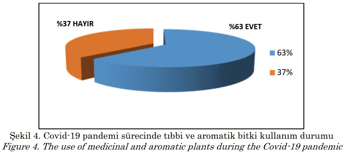 Pandemide Tıbbi ve Aromatik Bitkiler Kullanımı - 4
