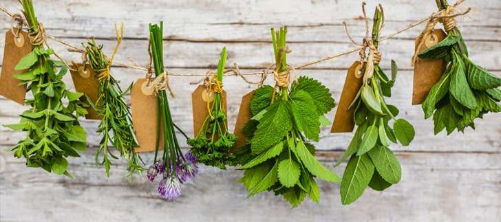 Tıbbi ve Aromatik Bitkiler nedir?