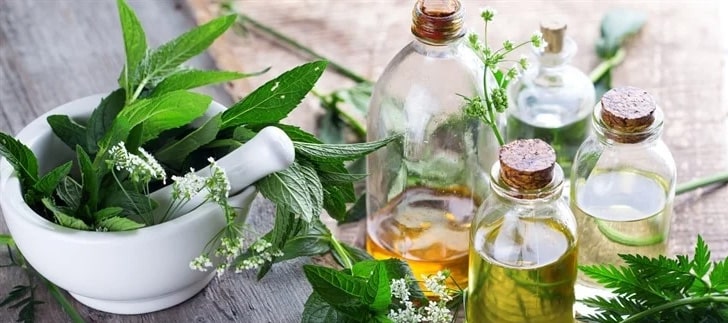 Bilişsel gerileme-bozukluk Şifalı bitkiler ile tersine çevrilebilir mi?