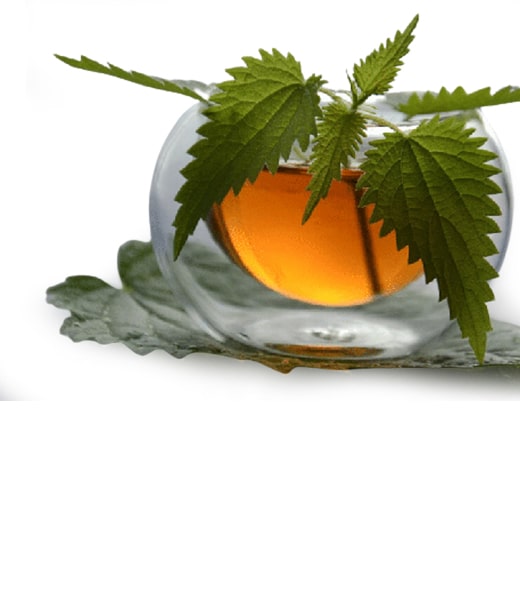 Isırgan Çayı – Doğal sivilce ilacı