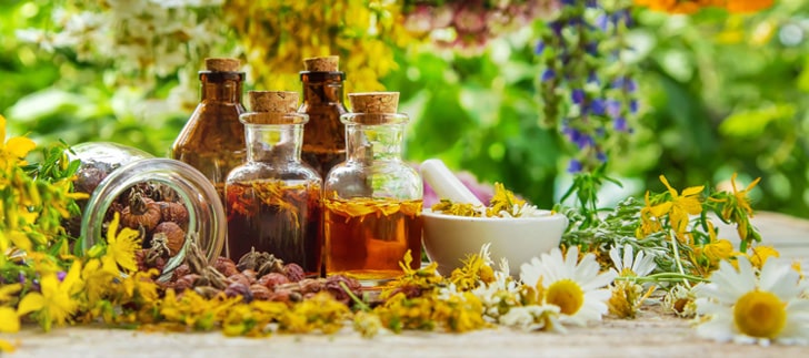 Şifalı Bitkilerin Tıbbi Yağ Olarak Hazırlama ve Kullanma Yöntemleri