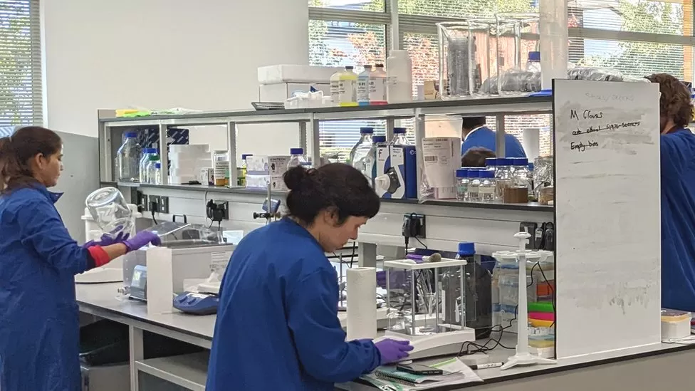 Wild Bioscience'daki testler, iyileştirilmiş tohumlardan elde edilen biyokütlede %20'lik bir artış elde etti