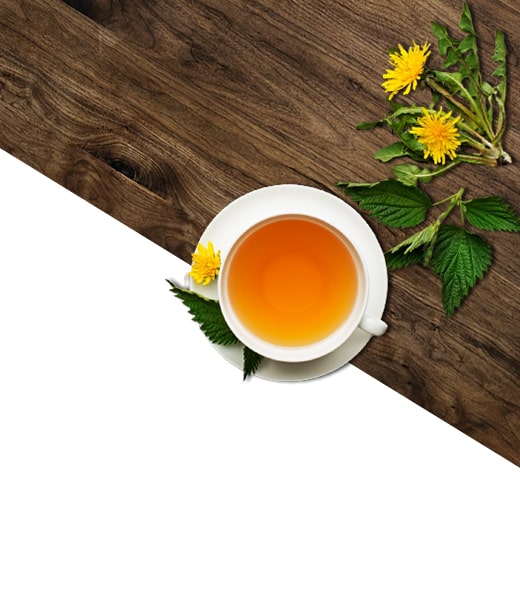 Sinameki Çayı Hazırlanışı, Faydaları ve Zararları