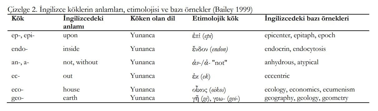 Toprak Solucanlarını Sınıflandırma Terimleri Üzerine Bir Değerlendirme Çizelge 2. İngilizce köklerin anlamları, etimolojisi ve bazı örnekler (Bailey 1999)