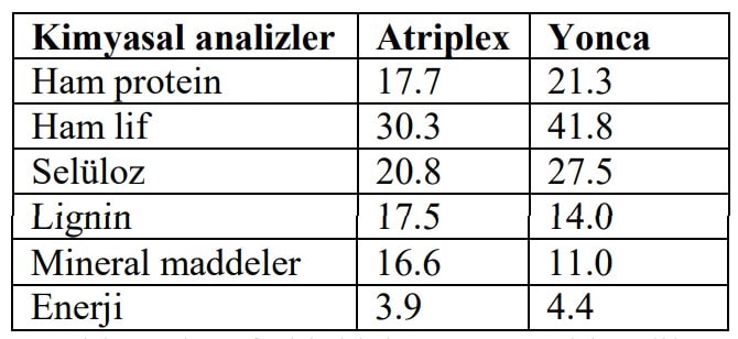 Tablo 2: A. nummalaria’da Ham kül, Ham protein, ADF, NDF, Lignin ve Ham yağ oranları (g/kg).